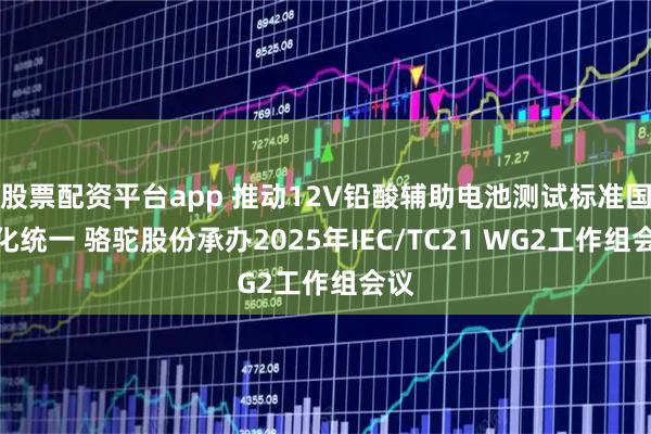股票配资平台app 推动12V铅酸辅助电池测试标准国际化统一 骆驼股份承办2025年IEC/TC21 WG2工作组会议